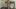 Discover Total Glory: Ashton Rush & Casey Jones` Naked