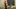 Elijah White & Max Morgan: Deep Inside and Spunk to the